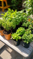 Variety of vibrant succulent plants displayed in colorful pots on a wooden table indoors