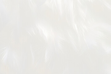 PNG Soft white feather texture, transparent background
