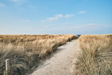 Pathway to the beach at the Baltic Sea in Germany. High quality photo
