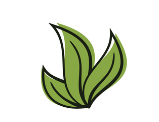 Seedling sprout with three leaves. Spring, planting and nature design element. Isolated vector image