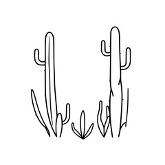 Minimalist illustration of cacti set against a white backdrop, offering a clean, modern aesthetic.