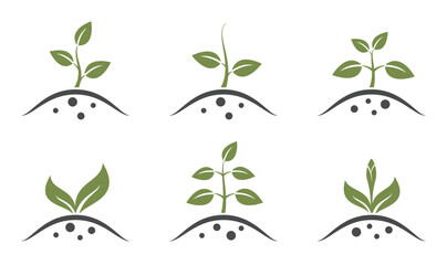 Spring plant sprout icon set. Growing and planting symbols. Isolated vector images in simple style