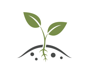 Obraz premium Growing plant sprout. Spring, farming and planting symbol. Isolated vector image