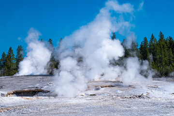 Fumerols at Norris Geyser Basin, Yellowstone National Park