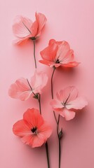 Pink flowers arranged against a soft pink background showcasing delicate petals and gentle shadows