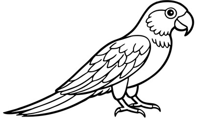 Obraz premium parrot on a white background