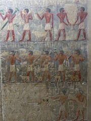 Reliefs from the tomb of Ptahhotep showing daily activities such as offerings, hunting, fishing and...