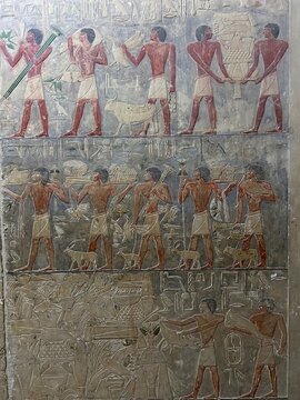Reliefs from the tomb of Ptahhotep showing daily activities such as offerings, hunting, fishing and agricultural activities and sports in Saqqara in Egypt	