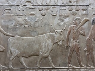 Reliefs from the tomb of Ptahhotep showing daily activities such as offerings, hunting, fishing and agricultural activities and sports in Saqqara in Egypt	