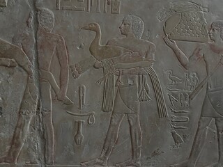 Reliefs from the tomb of Ptahhotep showing daily activities such as offerings, hunting, fishing and...