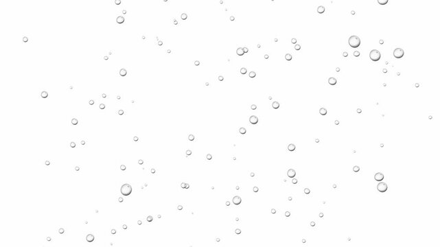 Bubbles rising up on white background. 2d animation