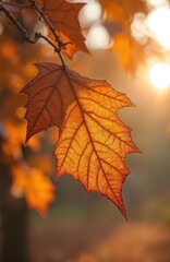 Macro photo of vibrant orange autumn leaf with detailed veins, sunlit. Close-up of fall foliage texture with warm autumnal colors. Nature background evokes tranquility and cozy mood of autumn season.