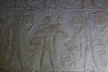 Reliefs from the tomb of Ptahhotep showing daily activities such as offerings, hunting, fishing and...