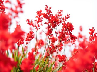 Eclectic Plant Pot: A Tapestry of Textures and Patterns