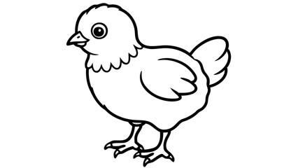 baby chicken isolated on white