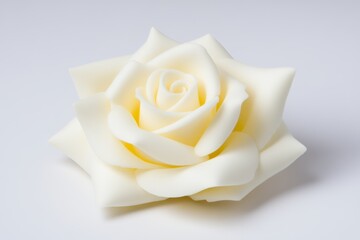 White rose is the main focus of the image