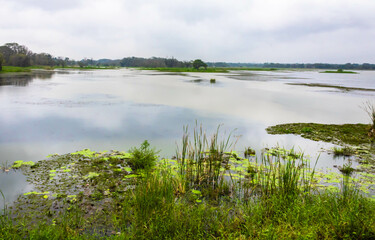 View of the Hiriwadunna lake, Sigiriya, Sri Lanka
