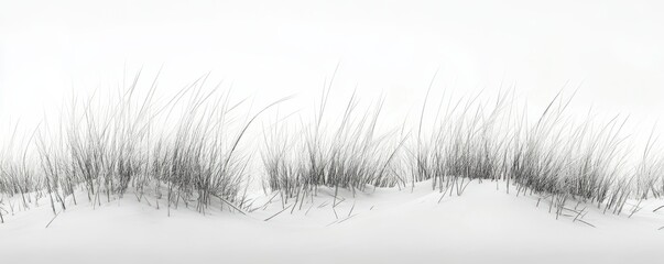 Fototapeta premium Minimalist winter landscape with snow-covered grass