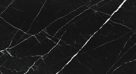 Fototapeta premium A luxurious black marble surface with prominent white veining