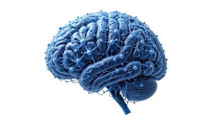 3d blue brain isolated on white background