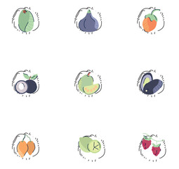set of fruit vector icons with white background