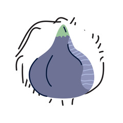 Minimalist Abstract Vector Illustration of a Purple Fig Fruit with Hand-Drawn Elements and Flat Design Style for Organic and Healthy Food Concepts