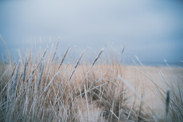 Winter Morning with Frozen Sand