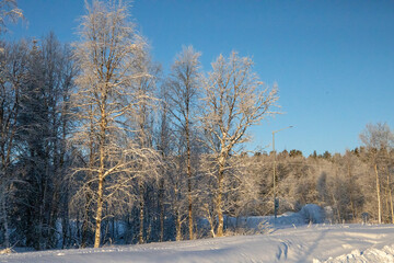 Winter landscape in Kiruna, Lapland, northern Sweden.