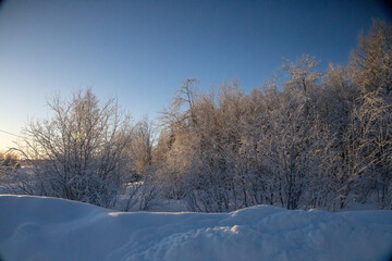 Winter landscape in Kiruna, Lapland, northern Sweden.