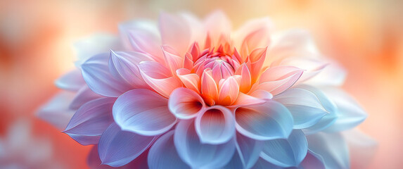 Obraz premium A close up of a flower with a blue and pink hue. The flower is surrounded by a blurry background