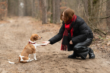 A woman kneels beside a dog on a dirt path in a forest. She extends her hand toward the dog, which...