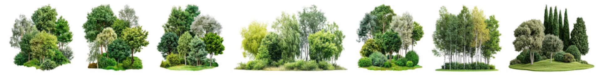 Fototapeta premium PNG Lush green trees collection, element set on transparent background