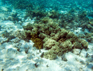 Landscape photo of lagoon