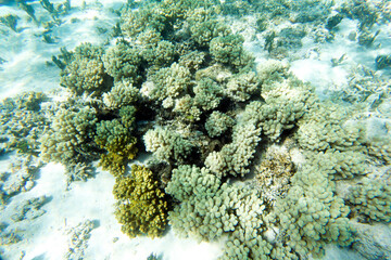 Fototapeta premium Landscape photo of lagoon