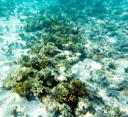 Landscape photo of lagoon