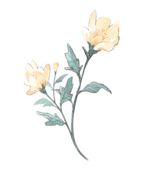bouquet of flowers