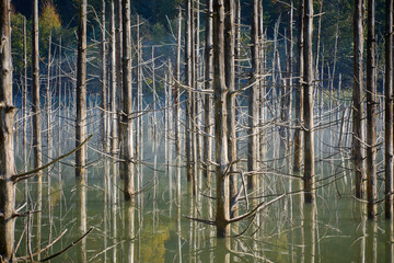 Autumn landscape with trees reflecting in the water on Cuejdel Lake