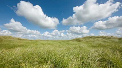 Sunny day, grassy dunes, blue sky, clouds, nature landscape, travel photography
