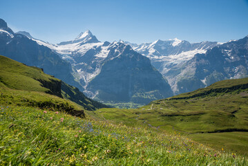 Fototapete bei efototapeten.de bestellen   