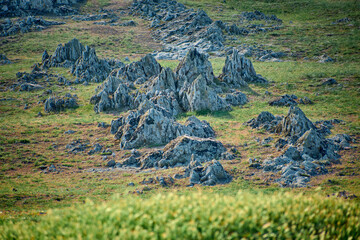 Green shales, old rocks in the Casimcei plateau in Dobrogea, Romania