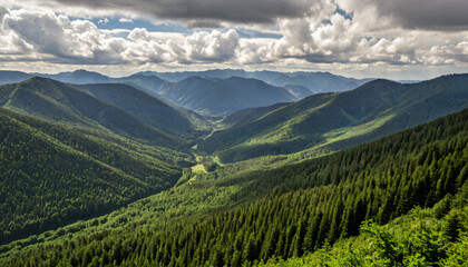 Naklejka premium Le paysage montagneux verdoyant