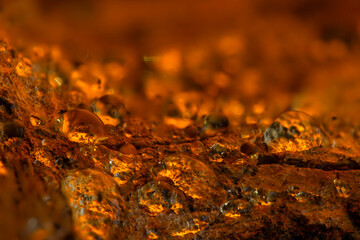 A tree trunk sweated with temperature changes. Close up photgraphy. 