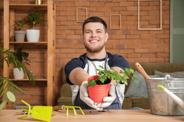 Young handsome man transplanting plants in room