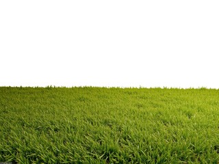 Green artificial grass background texture perfect for outdoor and indoor use, green, natural