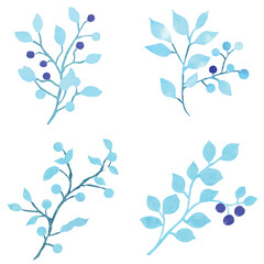 Berry branch watercolor hand drawn set collection