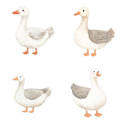 goose watercolor illustration concept for kids