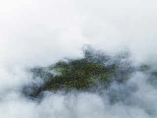 Fototapeta premium A dense tropical forest on Kauai island, Hawaii, partially covered by thick white clouds, highlighting the vibrant greenery and misty atmosphere.