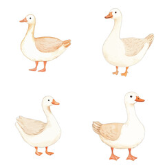 goose watercolor illustration concept for kids