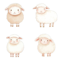 sheep watercolor illustration concept for kids