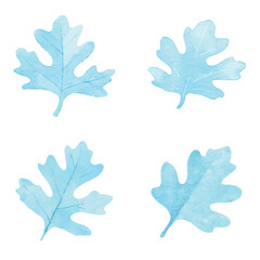 Fototapeta premium Oak leaf watercolor hand drawn set